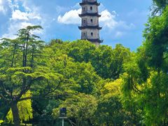 -江心屿景区