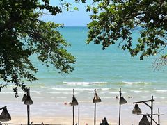 -卷心菜和避孕套餐厅(Pattaya)