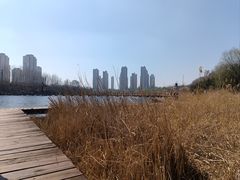 -前关湿地公园