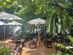 -Fern Forest Cafe