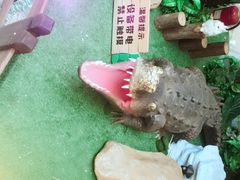 -CGV影城(黄河道ScreenX店)