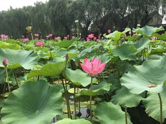 -安飞驰驾校·学车连锁(金高店)