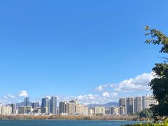 -野菌皇海景野生菌火锅(滨海大道店)