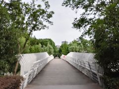 -南翔镇银翔湖公园