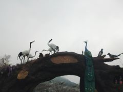 -石老人观光园