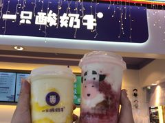 -一只酸奶牛(八一路店)