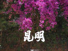 -云南师范大学(一二一西南联大校区)