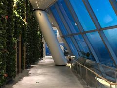 -WFC会仙楼观景台