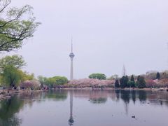 -同和居(月坛店)