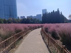 -艾溪湖湿地公园