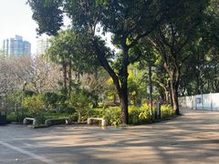 -晓港公园