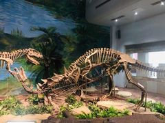 -自贡恐龙博物馆