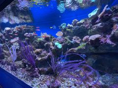 -海合安青岛极地海洋公园