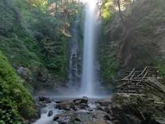 -莫里热带雨林景区