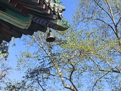 -潭柘寺景区