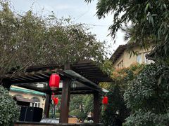 -芭东小镇温泉
