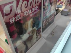 -K22.酸奶草莓(长春上海路万达店)