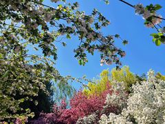 -元大都城垣遗址公园