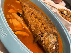 -阿五黄河大鲤鱼(海尚店)