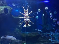 -多彩贵州城极地海洋世界