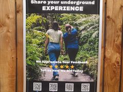 -怀托摩萤火虫洞