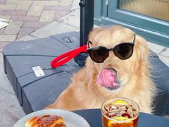 -Wagas沃歌斯(深圳印力中心店)