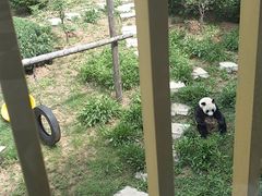 -大连森林动物园