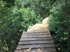 -白草畔自然风景区