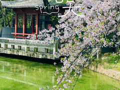 -南京古林公园