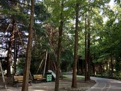 -苏州河梦清园环保主题公园