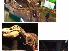 -墨尔本博物馆(Melbourne Museum)