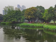 -荔湾湖公园