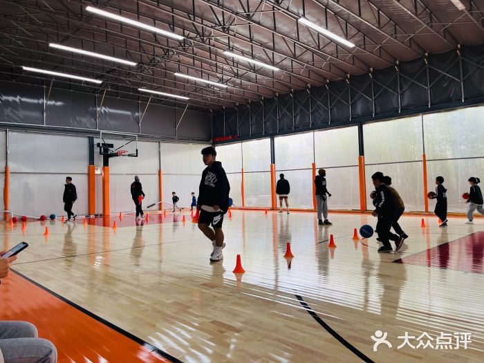 YBDL青少年篮球发展联盟(海上海店)图片