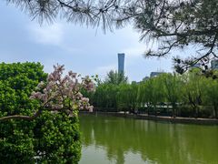 -团结湖公园