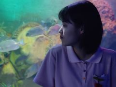 -重庆欢乐海底世界
