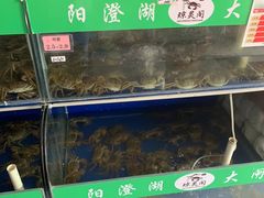 -阳澄湖大闸蟹·琼灵阁牌品牌连锁(吴中总店)
