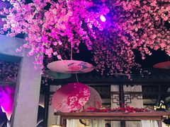 -韵秋荷(宝山龙湖天街店)