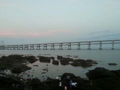 -星海湾跨海大桥