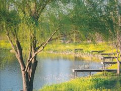 -东南大学(九龙湖校区)