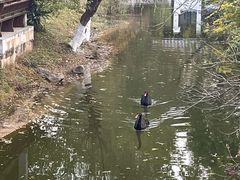 -南山风景名胜区