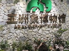 -野象谷景区