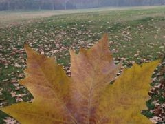 黄河迎宾馆-河南省黄河迎宾馆