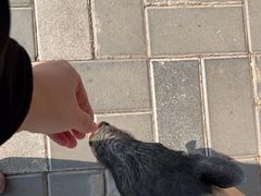 -北京鹿世界主题园