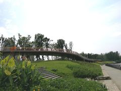 -府河摄影公园
