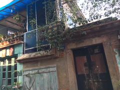 -八婆婆烧仙草(中山路店)