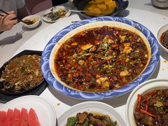 -新概念来凤鱼(璧山店)