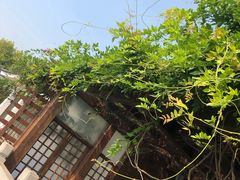 -望海·帆船主题咖啡厅•品茗下午茶(石湖景区店)
