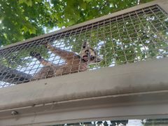 -石家庄市动物园