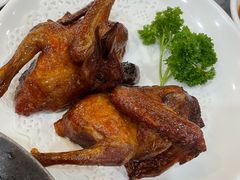 -鸽鸟轩(石岐店)