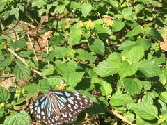 -湄公河秘制烤鱼(西双十贰城商业中心店)